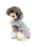Zweitea Striped Dog Shirt for Small Dogs & Cats - Soft Cotton Summer Tank Top - Gray - Size M - Buy Online on GoSupps.com