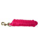 Buy Hamilton Poly Leash with Snap Hook - Raspberry - Durable & Stylish Dog Leash for International Shipping - Buy Online on GoSupps.com