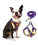 Rennaio No Pull Dog Harness & Leash Set | Adjustable Chest Harness & Puppy Dishes for Small/Medium Dogs - Ultra Comfortable (Purple M) - Buy Online on GoSupps.com