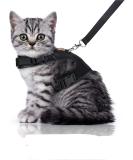 Bella & Balu Cat Harry - Durable Breast Dish with Leash Soft Lining & Breathable Mesh for Comfortable Walking (Small Black) - International Shipping Available - Buy Online on GoSupps.com