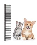 Boao Stainless Steel Pet Comb for Dogs & Cats - Perfect for All Sizes & Hair Types | Durable Rounded Teeth for Gentle Grooming - Buy Online on GoSupps.com