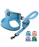 Shop Bella & Pal Dog Harness for Small Dogs | Step-In Air Mesh Reflective & Breathable Design with Leash - Sky Blue (L: 42-50cm) - Buy Online on GoSupps.com