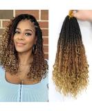 8Packs Goddess Box Braids Crochet Hair With Curly Ends 14inch Pre-looped Bohomian Crochet Box Braids Synthetic Braiding Hair Extensions 14 Inch(Pack of 8) 1B/30/27 - Buy Online on GoSupps.com