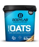 BODYLAB24 Pure Oats - 100% Natural Finely Ground Oatmeal | Excellent Carbohydrate Source | Long-Lasting Satiety | No Artificial Additives | Delicious Taste - Buy Online on GoSupps.com
