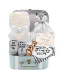 Fvntuey Baby Shower Gifts Set - Newborn Blanket, Baby Lovey, Wooden Rattle Toy, Funny Bibs, Socks & Greeting Card - Baby Boy Gift Basket with Neutral Fox Design - Buy Online on GoSupps.com