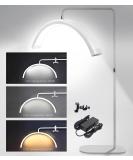LED Half Moon Floor Lamp for Beauty Skincare & Lash Extension | Eyelash Lighting for Filming & Content Creation - White - Buy Online on GoSupps.com