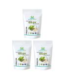 Herbal Magic's Pure & Natural Giloy Powder for Super Smoothies Shakes soups - Premium Quality Powder - Free from Fillers & Preservatives - 300g - Buy Online on GoSupps.com