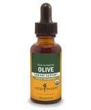 Herb Pharm Olive Extract - 1 fl oz (30 ml) - Pure Herbal Supplement - Buy Online on GoSupps.com