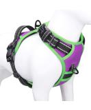 Phoepet 2019 Reflective Dog Harness for Large Breeds - Adjustable No Pulling Vest with Handle 2 Metal Rings 3 Buckles - Easy to Put On & Take Off (XL Violet) - International Shipping - Buy Online on GoSupps.com