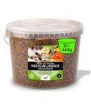 UGF - Premium mealworms dried 3 liters of bucket - 460g bird feed wild birds all year round hedgehog feed squirrel feed hamster feed mealworms 3 l (1 Pack) - Buy Online on GoSupps.com