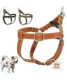 Dogissimi Handmade Leather Dog Harness for Small & Medium Dogs - Adjustable Ergonomic Italian Craftsmanship (Size L Chest 52-69 cm) - Buy Online on GoSupps.com