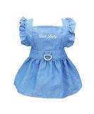 Luxury Dog Dress for Puppies | Tutu Jeans and Evening Styles | Light Blue Princess Dresses - Buy Online on GoSupps.com