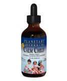 Planetary Herbals Calm Child Herbal Syrup 4 fl oz (118.28 mL) - Buy Online on GoSupps.com