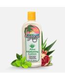 Caribbean Breeze Aloe Moisturizing Lotion - Vitamin-Enriched Aloe Vera Body Lotion with Green Tea & Pomegranate | 8.5 oz (250 ml) - Shop Internationally - Buy Online on GoSupps.com