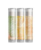 Cinnamon Blends Lip Balm Gift Set - Soothing Cinnamon Mint Vanilla & Orange | Perfect International Gift for Lip Care - Buy Online on GoSupps.com