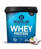 Bodylab24 Whey Protein Powder - Coconut Flavor 2kg | Premium Quality Protein for International Shipping - Buy Online on GoSupps.com