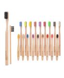 Apical Life Bamboo Toothbrush 20 Count - Biodegradable, Eco-Friendly, Organic Bamboo Charcoal, BPA Free, Medium Soft Bristles for Adults and Kids - Buy Online on GoSupps.com