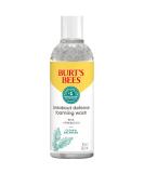 Burt s Bees Foaming Face Wash  BHA Breakout Defense Cleanser for All Skin Types  Washes Away Impurities & Excess Facial Oil  With a Prebiotic  8 Oz. - Buy Online on GoSupps.com