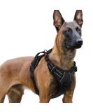 Rabbitgoo Dog Harness for Large Dogs - Adjustable No-Choke Reflective Chest Harness with Handle - Soft Padded XL - Black (1 Pack) - Buy Online on GoSupps.com