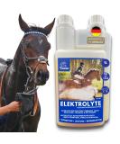 Emma Electrolyte for Horses 1L + Vitamin B12 | Essential Minerals for Optimal Equine Health - Buy Online on GoSupps.com