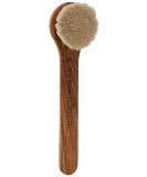 Province Apothecary Women's Daily Glow Facial Dry Brush - One Size | Achieve Radiant Skin - Buy Online on GoSupps.com