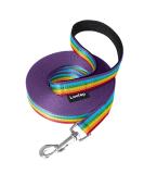 Loutep Rainbow Training Line for Dogs - Extra Long Leash 3m to 30m | Strong Nylon Rope with Padded Handle for All Dog Sizes | 25m Purple - Buy Online on GoSupps.com