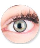Glamlens Gray Colored Contact Lenses - Monthly Soft Silicone Hydrogel 0.0 Diopters with Tank - Natural Silver Gray for Stunning Eye Look - Buy Online on GoSupps.com