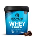 Bodylab24 Whey Protein Powder - Chocolate Flavor 1kg | Premium Quality International Shipping - Buy Online on GoSupps.com