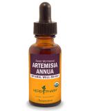 Herb Pharm Artemisia Annua Extract 1 fl oz - Herbal Supplement for Wellness - Buy Online on GoSupps.com