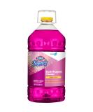 CloroxPro Fraganzia Multi-Purpose Cleaner - Spring Scent 175 oz | International Shipping Available - Buy Online on GoSupps.com