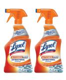 Lysol Kitchen Pro Antibacterial Cleaner Trigger, 22 Fl Oz (Pack of 2) - Buy Online on GoSupps.com