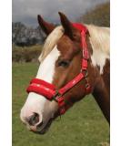 Rhinegold Logo Halter with Fleece Trim Red Cob - Buy Online on GoSupps.com