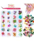 KISSBUTY 24 Colors Dry Flowers for Nail Art - Real Natural 3D Applique Sticker for Manicure Decor - Gypsophila Flowers - Buy Online on GoSupps.com