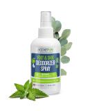 Rocket Pure Natural Shoe Deodorizer Spray & Foot Spray - Shoe Spray Deodorizer, Foot Spray Odor Eliminator Spray, Shoe Odor Eliminator, Foot Deodorant, Foot Odor Shoe Freshener (Mint) 4 Fl Oz (Pack of 1) - Buy Online on GoSupps.com