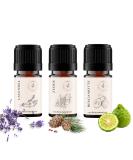 Dream Night Trio: High-Quality 100% Organic Essential Oils Atlas Cedar Bergamot Lavender | Floria Natural Aroma Therapy for Sleep 5ml Set - Buy Online on GoSupps.com
