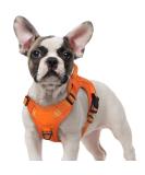 Rabbitgoo Adjustable Tactical Dog Harness for Small Dogs - Durable Anti-Train with Handles & Metal Buckles - Orange (Size S) - Buy Online on GoSupps.com