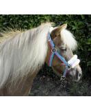 Rhinegold 323-turq Stripe-shet Bright Striped Fur Trim Small Pony Headcollar Turquoise Stripe Shetland EU - Buy Online on GoSupps.com