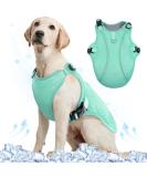Buy Kuoser Cool Vest for Dogs | Cooling Jacket & Coat | Ideal for Outdoor Activities | Ventilated Dog Cooling Vest in Green - Buy Online on GoSupps.com
