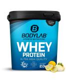 Buy Bodylab24 Whey Protein Powder - Lemon Cheesecake 2kg | Premium Quality Protein for Muscle Growth & Recovery - Buy Online on GoSupps.com