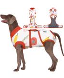 Kuoser Dog Body After Surgery | Breathable Post-Op Bodysuit for Male & Female Dogs & Cats | XXL Leak Protection & Protective Collar Alternative - Buy Online on GoSupps.com