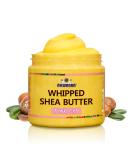 AKWAABA Whipped Shea Butter (Pink Cat) 12 oz - Natural Yellow Shea Butter from Ghana for Body & Hair - Rich in Vitamins A and E - Buy Online on GoSupps.com