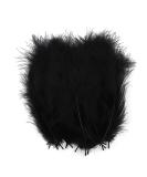 100pcs Black Feathers for Crafts & Dreamcatcher Making - DIY Fringe Trim & Colored Material - Buy Online on GoSupps.com
