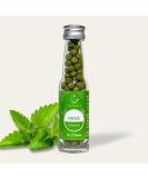 TEABALLS - Mint naturally cloudy (1 x 12g) | approx. 150 teaballs | for approx. 30-75 cups of tea | 100% pure vegetable | Known from: The thing of the year - Buy Online on GoSupps.com