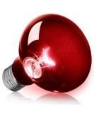 Neptonion 100W Infrared Heat Lamp for Reptiles | UVA Basking Spot Lamp for Snakes Chameleons Geckos & More - Buy Online on GoSupps.com