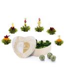 Creano Blooming Tea Gift Set - 6 Flowering Green Teas in Heart-Shaped Wooden Box | Perfect Tea Gift for Tea Lovers - Buy Online on GoSupps.com