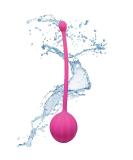 Kegel Exercise Weights for Women - Bladder Control Device & Pelvic Floor Trainer - SXNSE - Buy Online on GoSupps.com