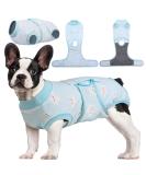 Kuoser Dog Recovery Suit - Breathable Post-Op Body for Male & Female Dogs | Leakage Protection & Anti-Licking Design | Green Star (1 Pack) - Buy Online on GoSupps.com