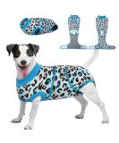 Kuoser Dog Recovery Bodysuit - Post-Op Wear for Dogs & Cats | Breathable Anti-Lick Design in Light Blue - Buy Online on GoSupps.com
