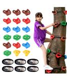 18 Ninja Tree Climbing Holds with 6 Ratchet Straps - Outdoor Obstacle Course Training for Kids - Buy Online on GoSupps.com