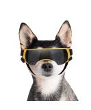 Petleso UV Protection Glasses for Small Dogs - Wind & Eye Protection Sunglasses for Motorcycle & Dog Bike Basket - Buy Online on GoSupps.com